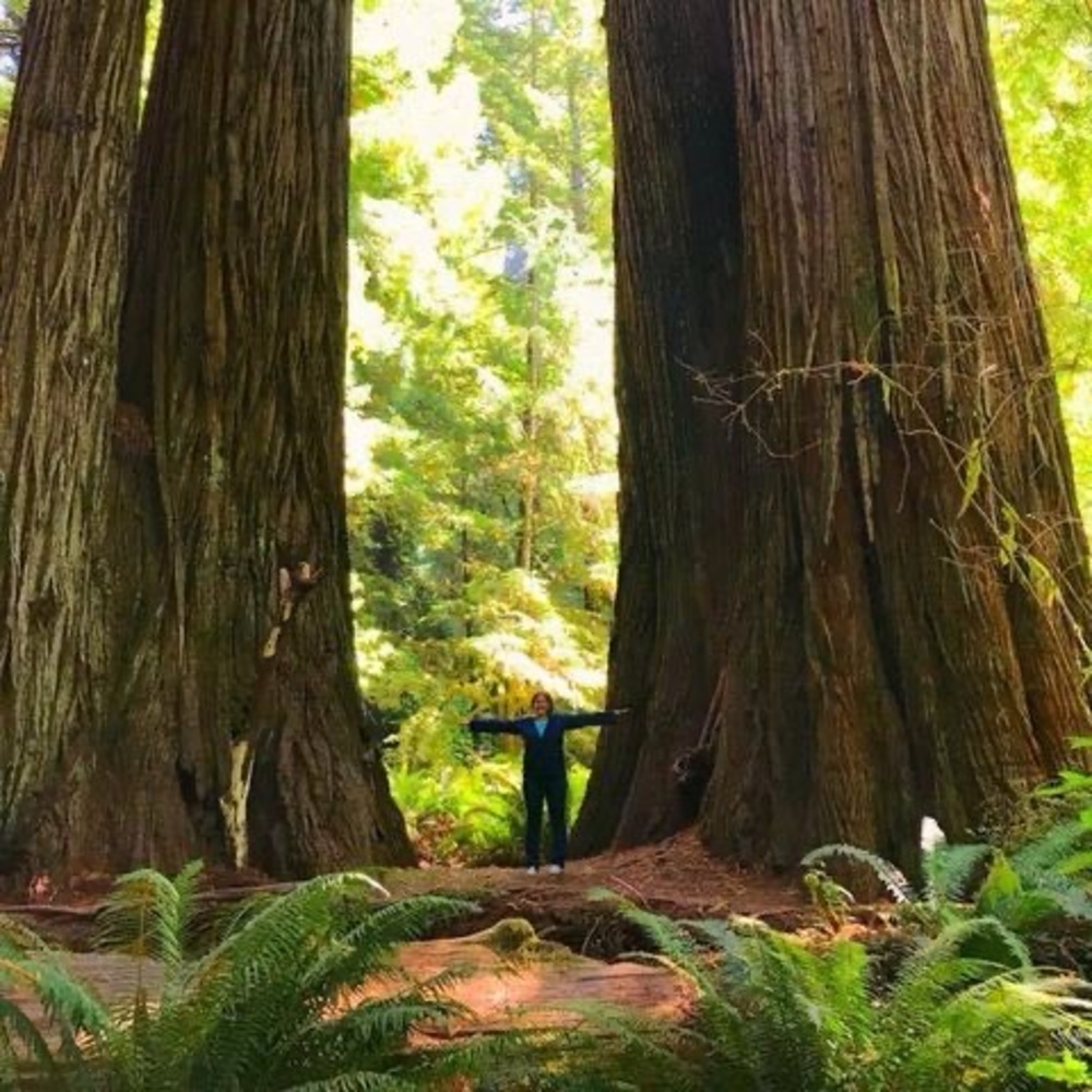 Meet your Posher, Jamie